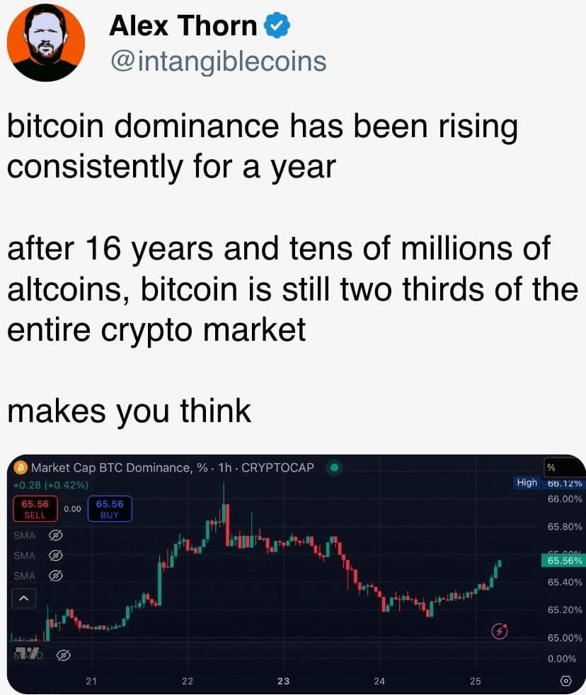 bitcoin dominance has been rising consistently for a year