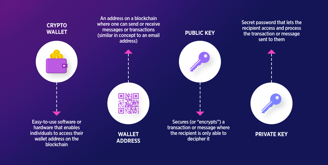 What Are Crypto Wallets?