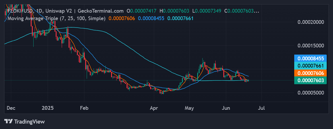 Floki Inu price chart