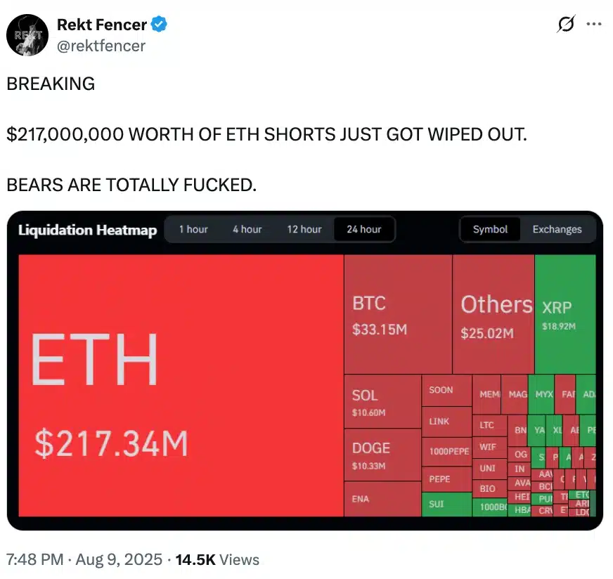 Rekt Fencer